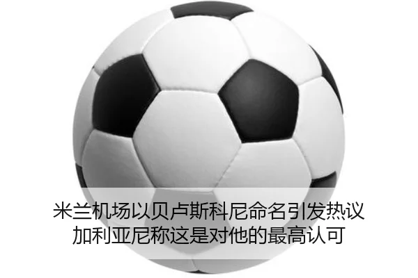米兰机场以贝卢斯科尼命名引发热议 加利亚尼称这是对他的最高认可